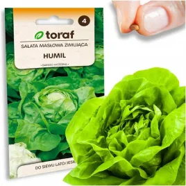 nasiona-warzyw-salata-maslowa-humil-zimujaca-jedrna-zimujaca