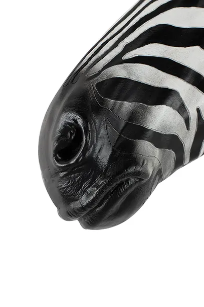 kare-dekoracja-scienna-zebra