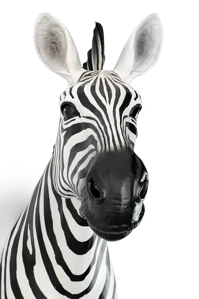 kare-dekoracja-scienna-zebra