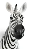 kare-dekoracja-scienna-zebra