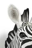 kare-dekoracja-scienna-zebra