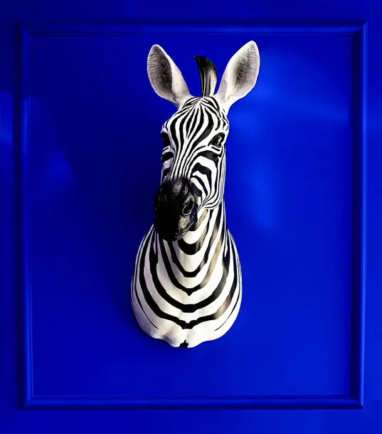 kare-dekoracja-scienna-zebra