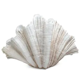 kare-wazon-dekoracyjny-concha-57-cm