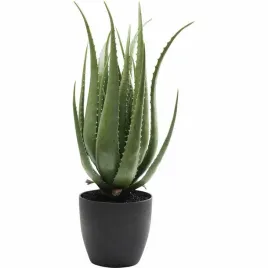 kare-roslina-dekoracyjna-aloe-69-cm