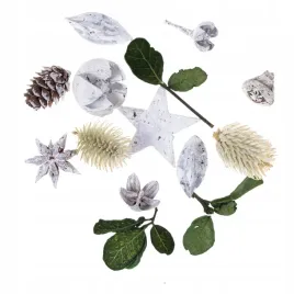 suszone-liscie-i-owoce-dekorcyjne-20g-dpcraft-egoztyczne-scrapbooking