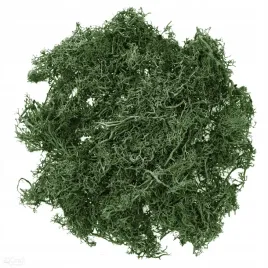 mech-ciemnozielony-30g-dpcraft-ozdobny-dekoracyjny-naturalny-home-decor