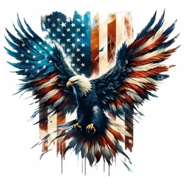 naklejka-orzel-usa-flaga-dekoracyjna-15x16-dla-motocyklisty