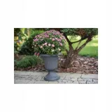 gazon-milano-fl-25-cm-doniczka-stan-nowy