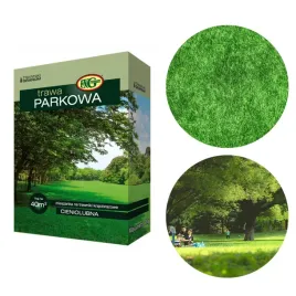 trawa-cieniolubna-1kg-do-cienia-w-cien-parkowa