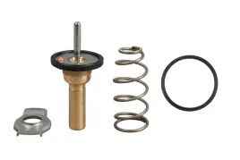 termostat-smart-fortwo-1-0-07-