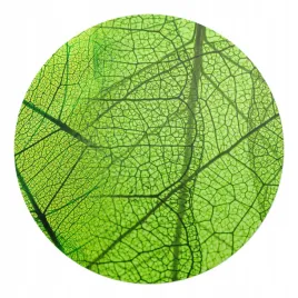 okragla-podkladka-ochronna-mata-pod-fotel-biurowy-lisc-w-zblizeniu-fi-100