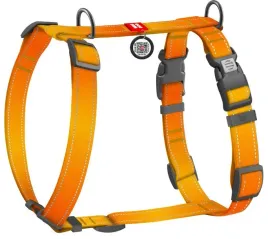 waudog-szelki-mono-z-qr-pomaranczowe-m-20mm-45-60cm