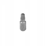 bit-torx-t25-koncowka-dmx