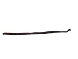 wanilia-laski-10szt-waga-z-opakowaniem-0-05-kg