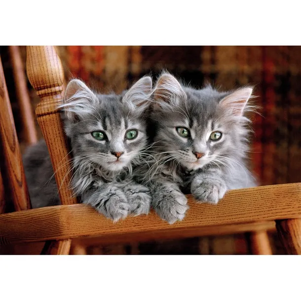 puzzle-500-compact-kittens-35580-kolekcja-puzzle