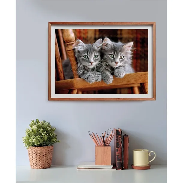 puzzle-500-compact-kittens-35580-marka-clementoni