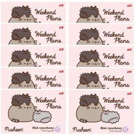 blok-rysunkowy-a4-bialy-20k-kot-pusheen-szkolny-st-majewski-10-sztuk