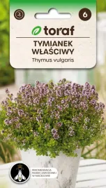 nasiona-ziol-tymianek-wlasciwy-ziola-do-ogrodu-toraf-316