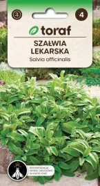 nasiona-ziol-szalwia-lekarska-ziola-do-ogrodu-toraf-313