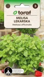 nasiona-ziol-melisa-lekarska-ziola-do-ogrodu-toraf-301