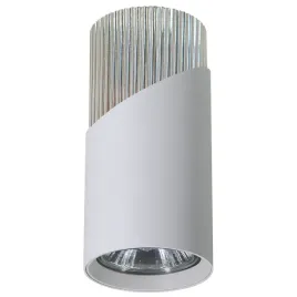 oprawa-sufitowa-tuba-neo-white-chrome-downlight-1xgu10