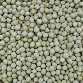 25kg-groch-zolty-cale-ziarno-zaneta-wedkarska-karp-karas-leszcz