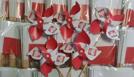 10-sztuk-eko-wiatraczki-polski-wiatraczek-polska