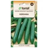 ogorek-gruntowy-gergana-5g