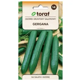 ogorek-gruntowy-gergana-5g