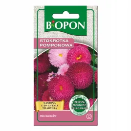 biopon-nasiona-stokrotka-pomponowa-wielokolorowa-nasiona-kwiatow