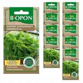 biopon-nasiona-koper-ogrodowy-ambrozja-bardzo-aromatyczny-srednio-pozny