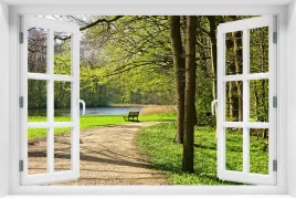 tapeta-samoprzylepna-efekt-okno-3d-krajobraz-natura-park-drzewa-kr-211