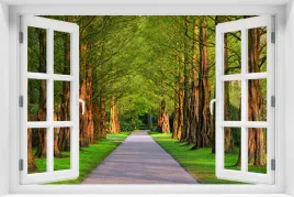 tapeta-flizelinowa-efekt-okno-3d-krajobraz-natura-las-drzewa-kr-234