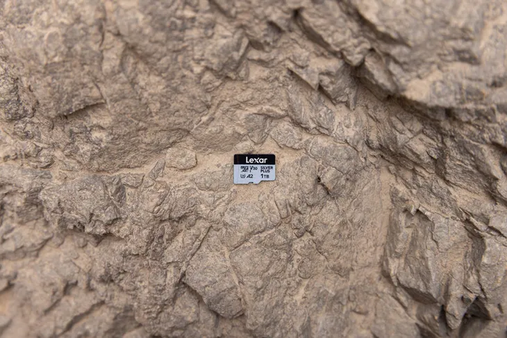 lexar-microsdxc-professional-silver-plus-r205-w100-64gb-stan-nowy-typ-karty-microsd-sdxc