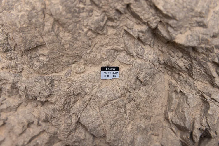 lexar-microsdxc-professional-silver-plus-r205-w100-64gb