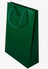 torba-torebka-papierowa-zielona-z-uchwytem-sznurkowym-ecobag-32x24x9-1szt