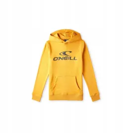 dziecieca-bluza-oneill-logo-hoodie-176