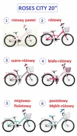 rower-dla-dziewczynki-20-cali-turbo-roses-rozne-kolory-polski-producent