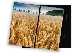 szklana-deska-na-kuchenke-2x40x52-077d-zboze