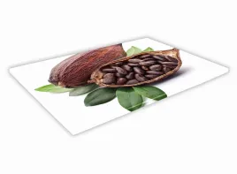 szklana-deska-kuchenna-30x20-81a-kakao