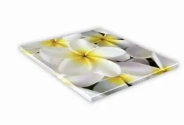szklana-deska-kuchenna-25x25-447e-biale-kwiatki