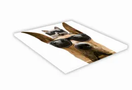 szklana-deska-kuchenna-25x25-463e-doberman-i-kot