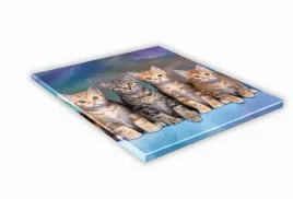 szklana-deska-kuchenna-25x25-478e-rude-kotki
