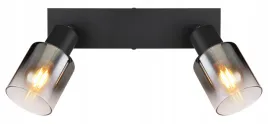 lampa-reflektor-spot-dymiony-hubertus-54308-2-globo-lighting-l36