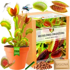 mucholowka-owadozerna-nasiona-zestaw-do-uprawy-dionaea-muscipula-na-muchy