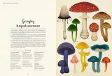 fungarium-muzeum-grzybow-wydawca-inny