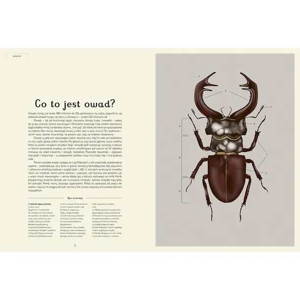 insektarium-muzeum-owadow-wydawca-inny