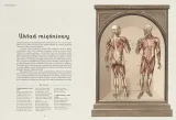 anatomicum-muzeum-anatomii-nazwa-anatomicum-muzeum-anatomii