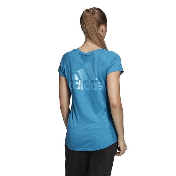 id-winners-kod-producenta-dp3896