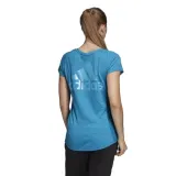 id-winners-kod-producenta-dp3896